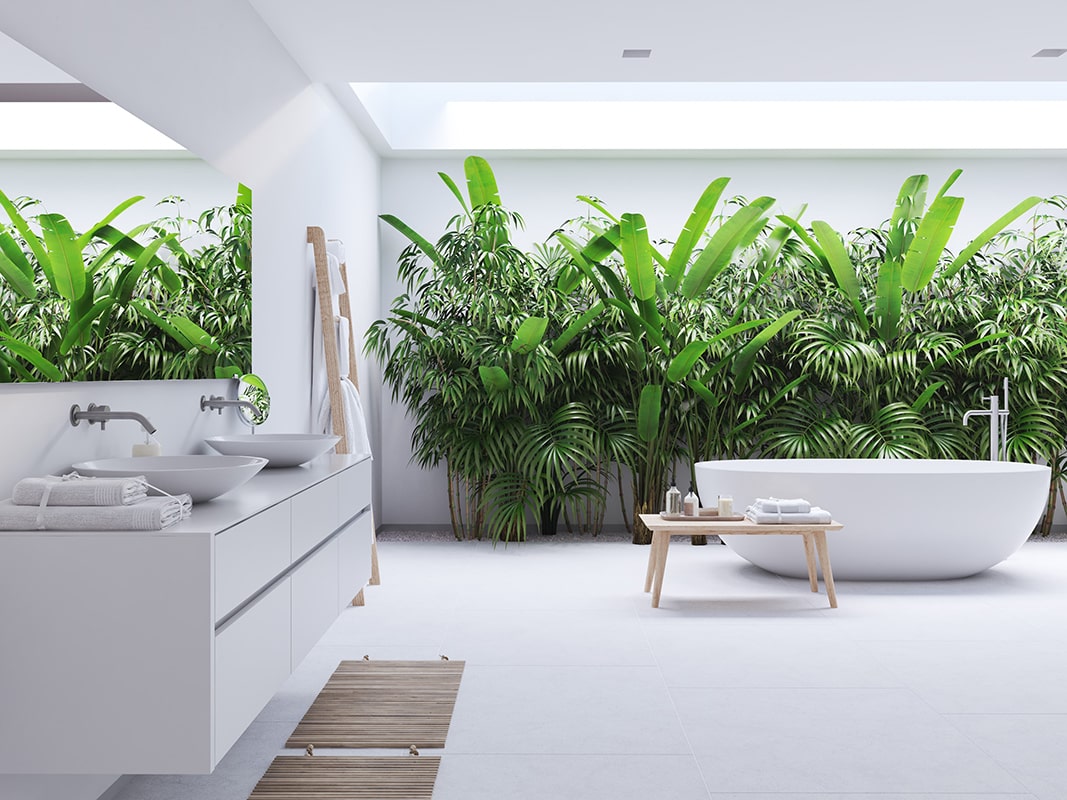Modern bathroom with plants