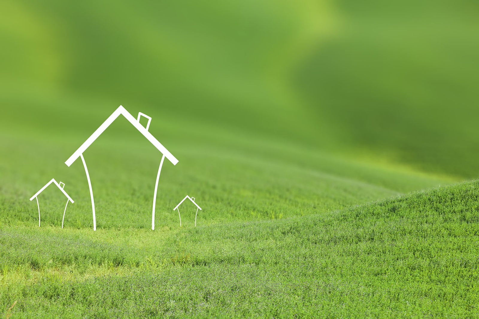 Houses in green field