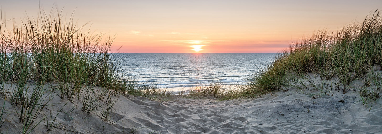 Ocean viewed through sand dunes