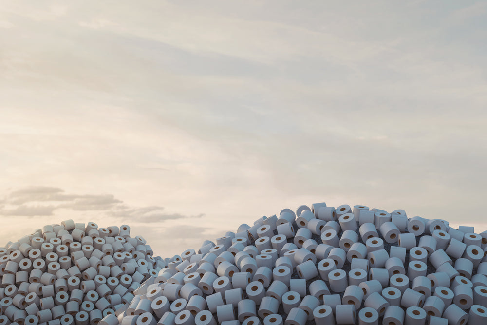 Mounds of toilet paper rolls