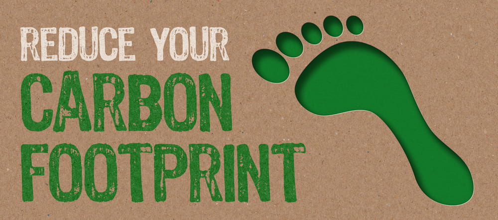 Reduce Your Carbon Footprint Graphic