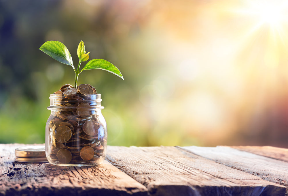 Plant Growing Savings Coins 