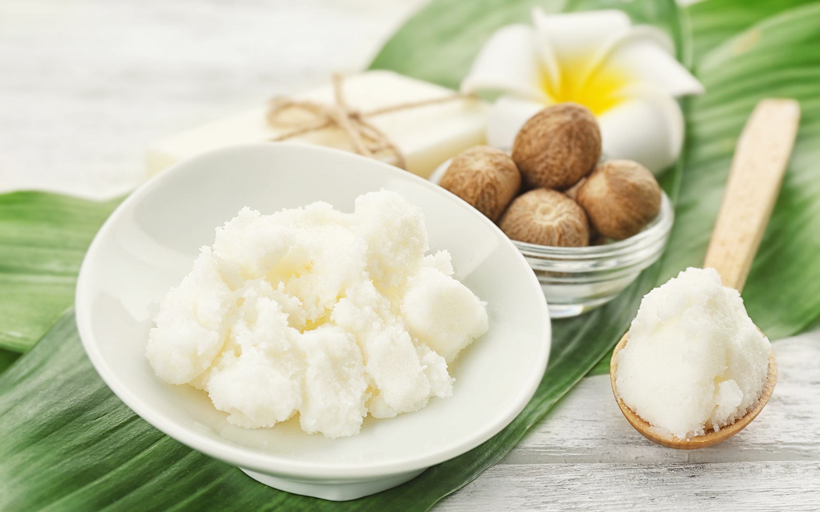  Shea Butter & Shea Nuts