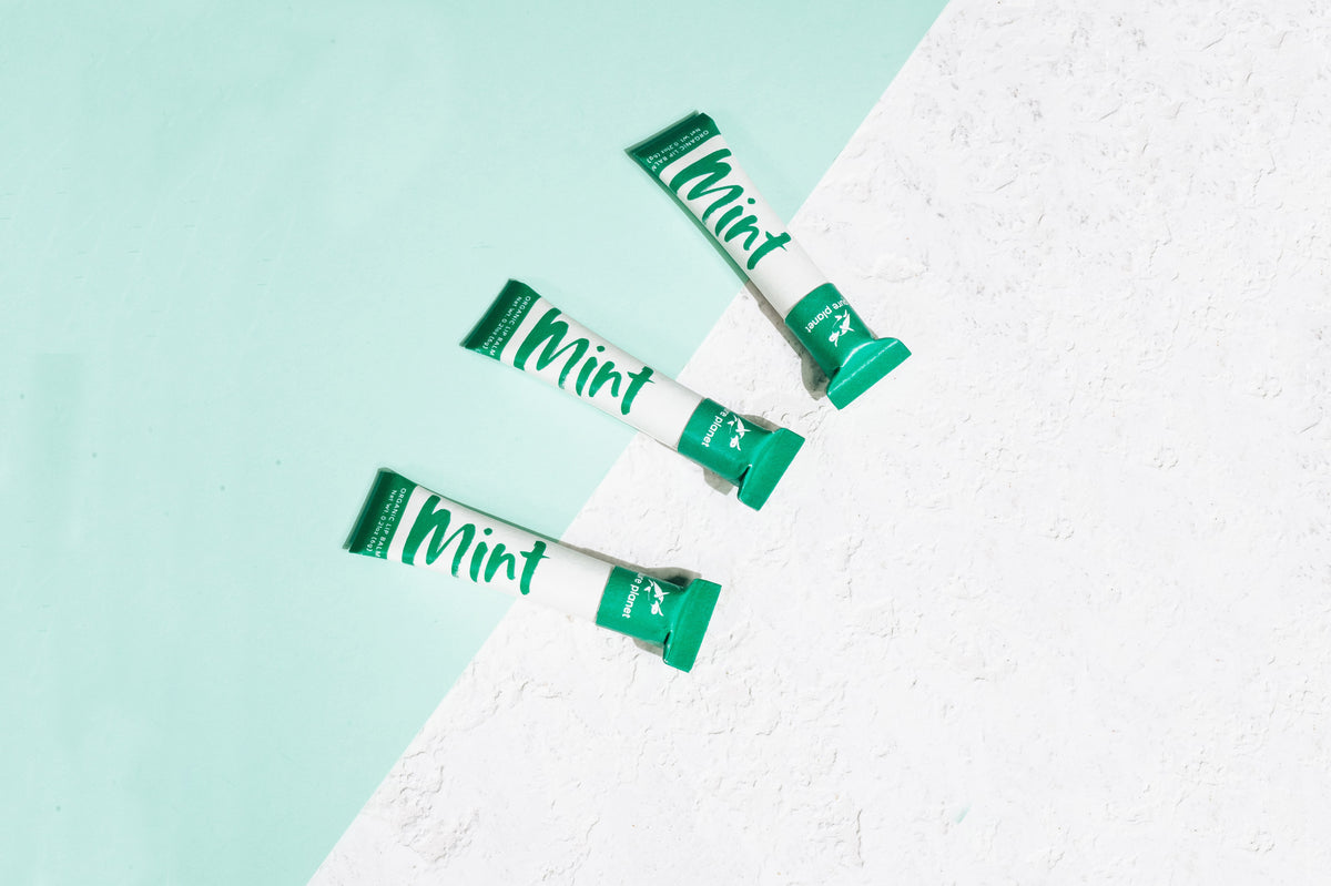 Mint Lip Balm